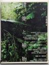 建築と植物