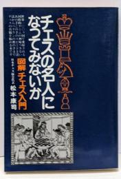 チェスの名人になってみないか : 図解チェス入門