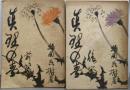 真理の春 前篇後篇セット