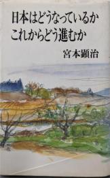 日本はどうなっているかこれからどう進むか