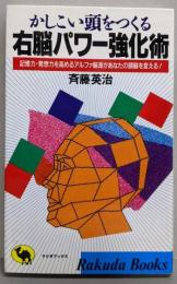 右脳パワー強化術: かしこい頭をつくる (ラクダ・ブックス)