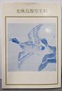 光琳鳥類写生帖<双書美術の泉 56>