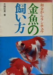 金魚の飼い方 和金からランチュウ