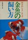 金魚の飼い方 和金からランチュウ