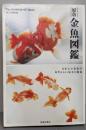 原色金魚図鑑 : かわいい金魚のあたらしい見方と提案