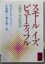 スモール イズ ビューティフル (講談社学術文庫 730)
