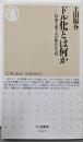 ドル化とは何か (ちくま新書)