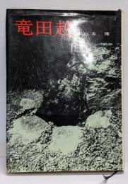竜田越