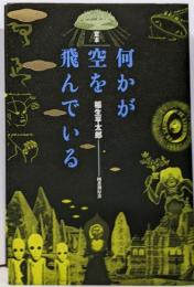 定本何かが空を飛んでいる