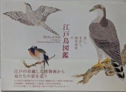 美し、をかし、和名由来の江戸鳥図鑑