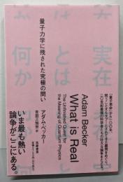 実在とは何か : 量子力学に残された究極の問い