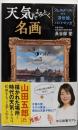 天気でよみとく名画-フェルメールのち浮世絵、ときどきマンガ(中公新書ラクレ 810)