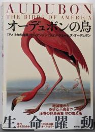 オーデュボンの鳥 : 『アメリカの鳥類』セレクション