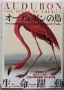 オーデュボンの鳥 : 『アメリカの鳥類』セレクション