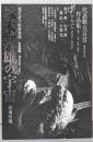 塚本邦雄の宇宙: 詩魂玲瓏 (現代詩手帖特集版)