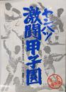 センバツ　激闘甲子園　毎日新聞で見るセンバツ第一回大会から第六十八回大会優勝戦ハイライト　永久保存版　限定版