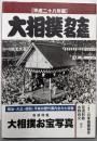 大相撲力士名鑑 平成二十八年版(明治・大正・昭和・平成の歴代幕内全力士収録)