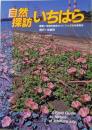 自然探訪いちはら