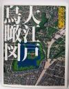大江戸鳥瞰図