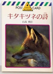 キタキツネの詩　POST CARD
