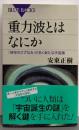 重力波とはなにか ：「時空のさざなみ」が拓く新たな宇宙論(ブルーバックス 1983)