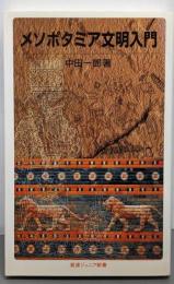 メソポタミア文明入門 (岩波ジュニア新書 558)