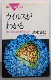 ウイルスがわかる: 遺伝子から読み解くその正体(ブルーバックス 1136)