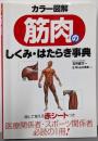 カラー図解 筋肉のしくみ・はたらき事典