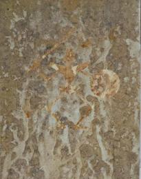 ファイブスター物語  THE FIVE STAR STORIES CHRONICLE FIRST EDITION 1990 LIGHT  永野護