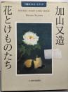 加山又造 花とけものたち (日経ポストカードブック)