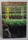静岡の伝説<日本の伝説 30>