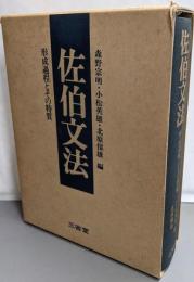 佐伯文法 : 形成過程とその特質