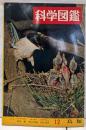 科学図鑑 12 (鳥類)
