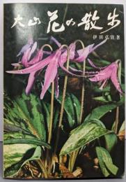 大山花の散歩