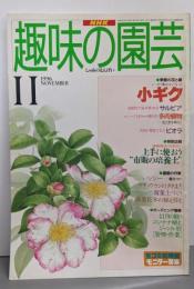 NHK　趣味の園芸　1996年11月号 : 小ギク