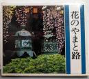 花のやまと路<カラー版自然の詩 ふるさと歳時記>