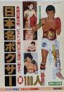 日本名ボクサー新100人 渡辺二郎 ピストン堀口 具志堅用高 大場政夫 ガッツ石松