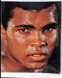 王者 アリ ウィルランド・シード モハメド・アリ