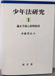 少年法研究 1 (適正手続と誤判救済)