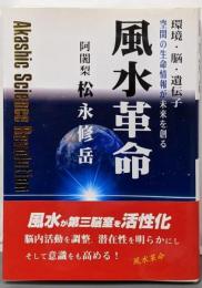 風水革命 : 環境・脳・遺伝子 空間の生命情報が未来を創る