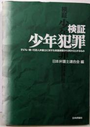 検証少年犯罪:子ども・親・付添人弁護士に対する実態調査から浮かび上がるもの