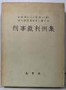 自動車による業務上(重)過失致死傷事件に関する  刑事裁判例集