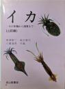 イカ : その生物から消費まで 2訂版