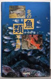 北の魚類写真館