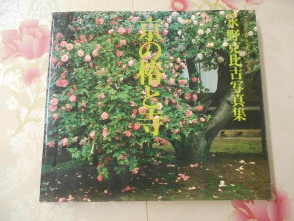 見事な 日本史の再発見としての沖縄の歴史 下 2< 解放新書>(牧瀬 恒二 その他