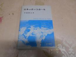 日本のポットホール