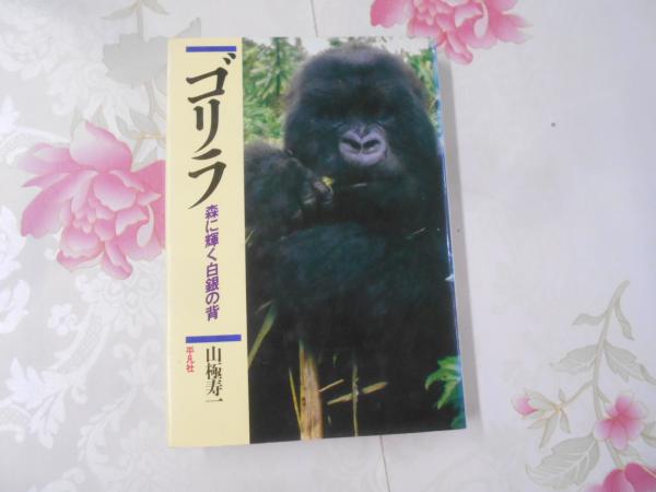 Amazon.co.jp: ゴリラは戦わない (中公新書ラクレ 575) : 小菅
