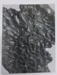 星野曉 : 黒陶出現する形象 : 滋賀の現代作家展