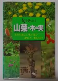 旬を見つける山菜・木の実 :見分ける楽しみ、味わう喜び満喫したい季節の彩り