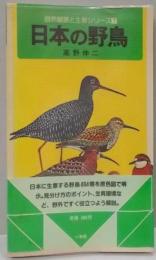 日本の野鳥 : 野外での見分け方<自然観察と生態シリーズ7>